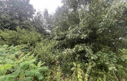 88 1661 Road, Corning, AR 72422