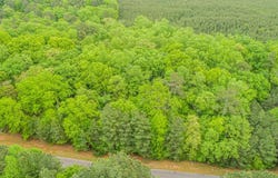 Harbor Drive lot: 56, Macon, NC 27551
