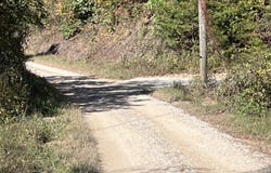 492 Lowder Fork, South Shore, KY 41175