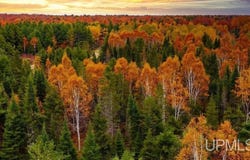 Parcel C Bellaire Road, Baraga, MI 49908