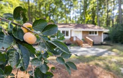 101 Oleander Road, Carrboro, NC 27510