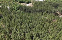 058 Pine Hills Way, Piedmont, AL 36272