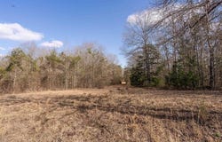 120 tbd Stevens Dr, Marietta, TX 75566