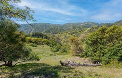 15800 Ridgeview Road, Willits, CA 95490