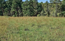 241 Briar Patch Road, Philippi, WV 26416