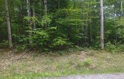 Stream Road, Vienna, ME 04360