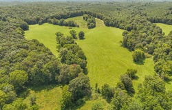 2245 BIG IVY Rd, Savannah, TN 38372