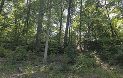 2096 State Highway 1036, Stanton, KY 40380