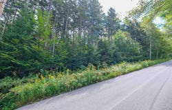 Evergreen Acres, Ludlow, VT 05149