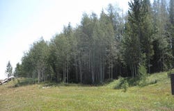 124 HURRICANE Trail, Daniel, WY 83115