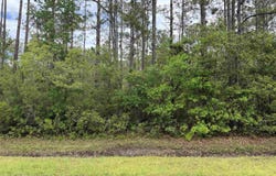 4120-1 Melanie St, Hastings, FL 32145