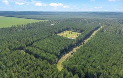 2742 Bud Diamond Rd, Jay, FL 32565
