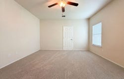 3133 Muntjac, Schertz, TX 78154