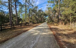 ROSEHILL Drive, WEBSTER, FL 33597