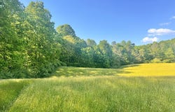 178 GRANDE RD, FAIRDALE, WV 25839