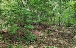 47 Vali Circle, London, KY 40741