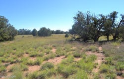 N5549, Concho, AZ 85924