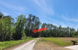 109 Roebuck Road, Georgetown, FL 32139