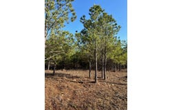 N 4357 Rd. Gee Drive, Nashoba, OK 74558