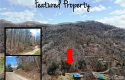 Moonbeam Lane, Clyde, NC 28721