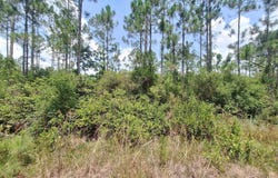 Wildcat Road, Perry, FL 32348