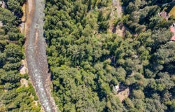 64281 E BRIGHTWOOD LOOP Rd, Brightwood, OR 97011