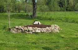 10269 Evans Rd, 13438, NY 13438
