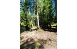 McKenzie Hwy, McKenzieBridge, OR 97413