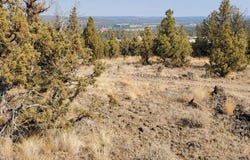 Browning Street, Prineville, OR 97754
