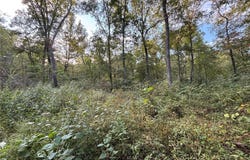 3240 Highway O, Cuba, MO 65453