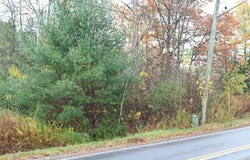 0.0 Stafford Road, Plattsburgh, NY 12901