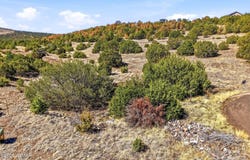1242 S Kaishas Way, Eagar, AZ 85925