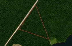 Wolf Pit Bay Rd., Nichols, SC 29581