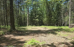 321 W Runway Drive, Luther, MI 49656