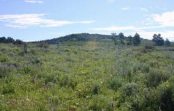12951 MS Road, Glade Park, CO 81522