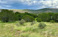 988 US 84, Las Vegas, NM 87701