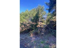 615 Muskrat Circle, Whitethorn, CA 95589