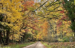 10652 N River Road, Irons, MI 49644