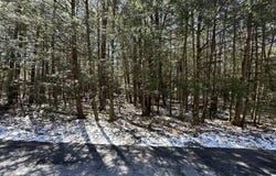 Sunset Drive lot: 1114, Pocono Summit, PA 18346