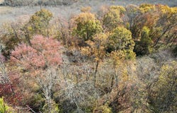 Scofield Road, Pound Ridge, NY 10576