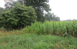 W Muskrat Road, Sidney, MI 48885