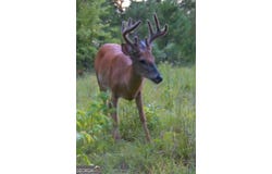 2501 Dennis Road, Macon, GA 31220
