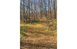 Rotten Road, Equinunk, PA 18417