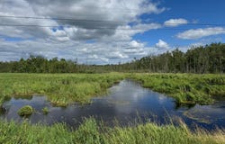 Mahogany Street, Mora, MN 55051