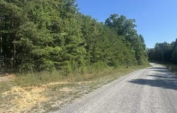Parkstown Ext lot: 70, Wilder, TN 38589