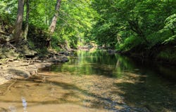 1824 Kingtown Road, Strunk, KY 42649