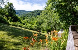 5855 JOLLETT RD, ELKTON, VA 22827