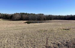 Spires Rd., Damascus, AR 72039