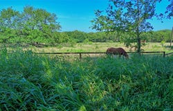 Fleming Street, St Jo, TX 76265