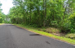 Deneaux Road, Rowesville, SC 29133